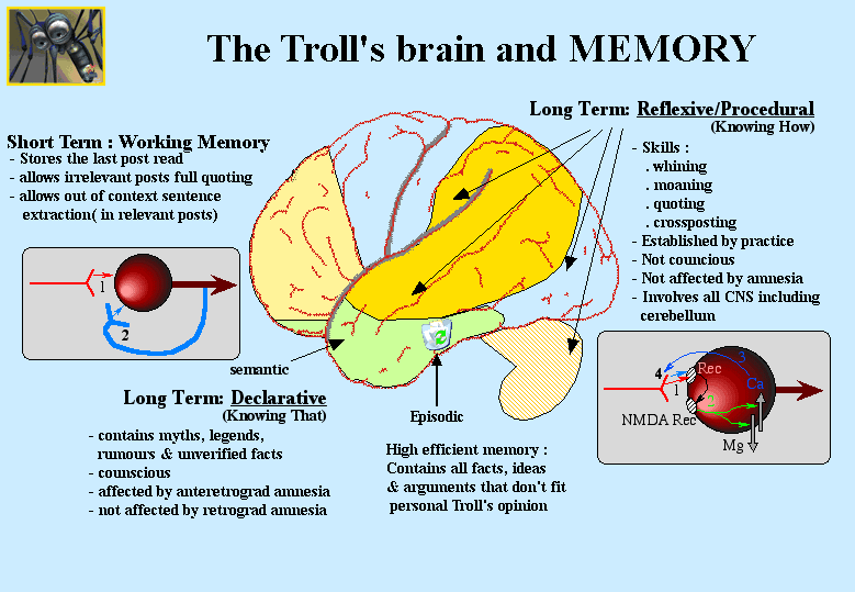 Image:Troll's_Brain_and_memory.gif